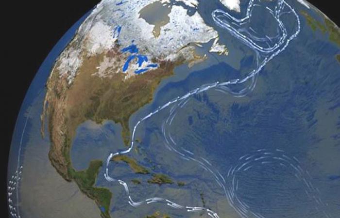 the weakening of the Atlantic ocean current could lead to the collapse of the Amazon rainforest!