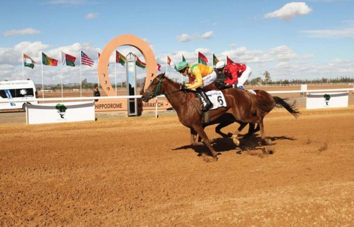 great success of the 3rd edition of the African Horse Racing Grand Prix