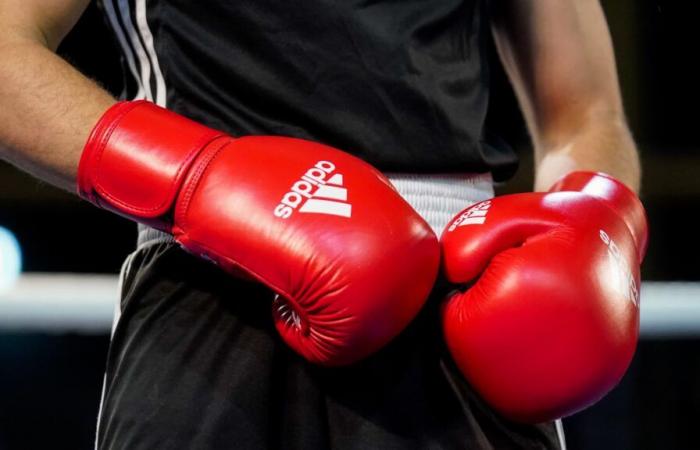 The French Boxing Federation takes a strong decision to “guarantee the place” of its boxers at the Olympic Games