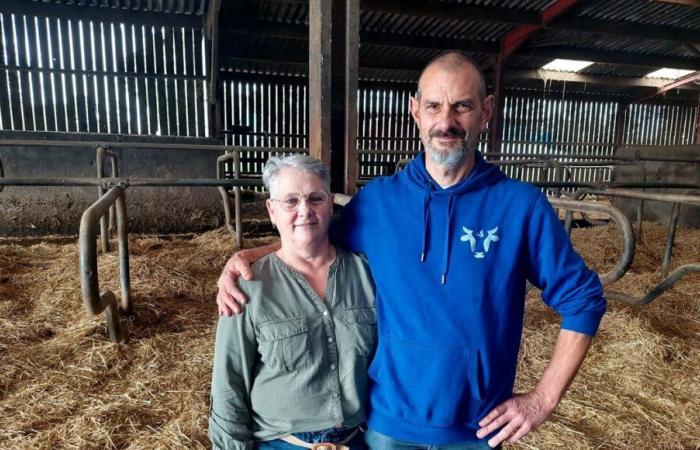 A month after the Lactalis announcement, dairy farmers “disappointed” and in limbo in Vendée