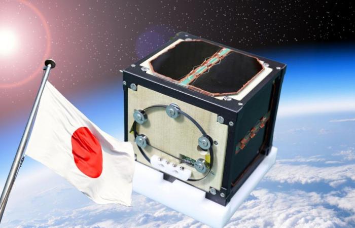 Japan achieves global feat with world's first wooden satellite, as large as a cup of coffee but incredibly resilient to space conditions