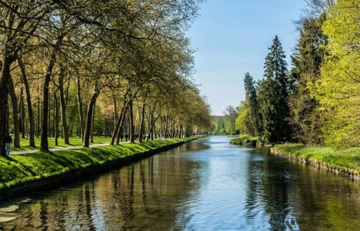 investigation opened after the death of numerous fish in a canal polluted with sugar