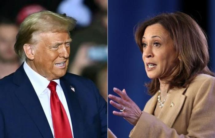 Trump says ‘if we win Pennsylvania – it’s over,’ as Harris tactically calls her rival ‘the other guy’ in final push