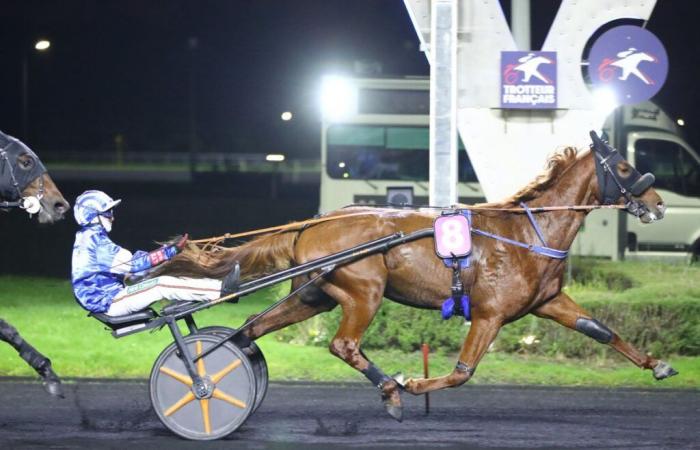 Maestro River wins with Eric Raffin in the Prix Géminus