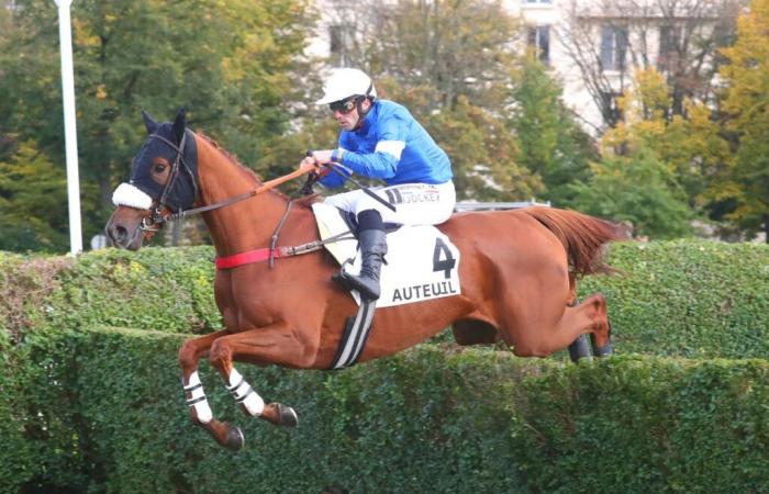 The good day for Bon Garçon in the Prix Triquerville at Auteuil?