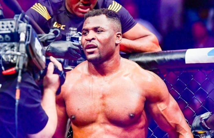 Francis Ngannou, the huge uppercut