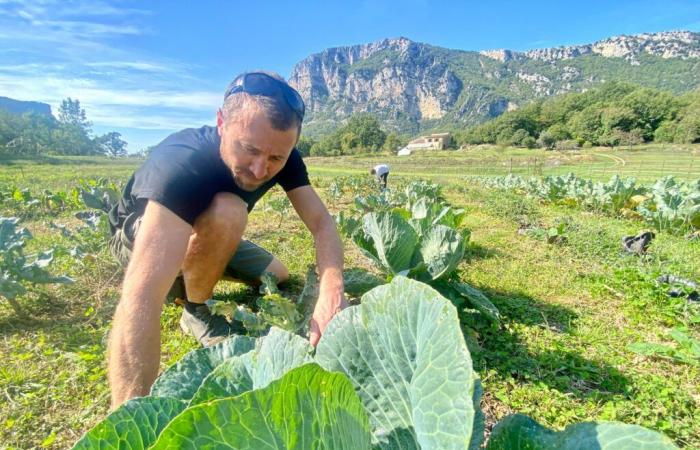 To supply his restaurant in Mandelieu with local vegetables, he bought a farm in the hinterland