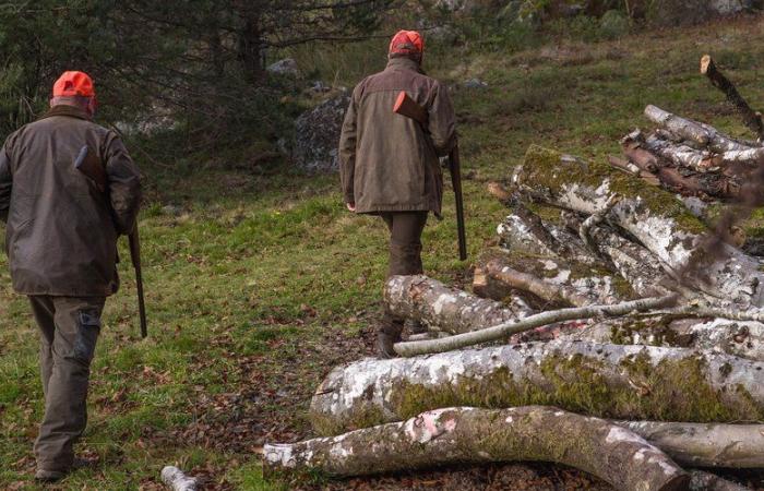 Wounded by gunshot, a hunter dies during a hunt, the prosecution does not exclude any leads