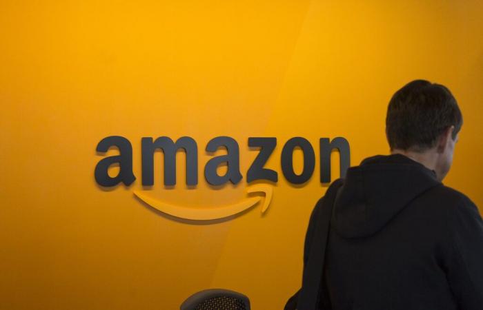 Amazon.com: The project for Amazon in the nuclear sector is rejected, the values ​​of the sector decline on Wall Street