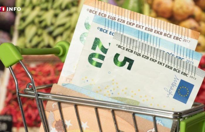 Prize pool, subscription, anti-waste baskets… these 7 tips to lower the price of your shopping cart