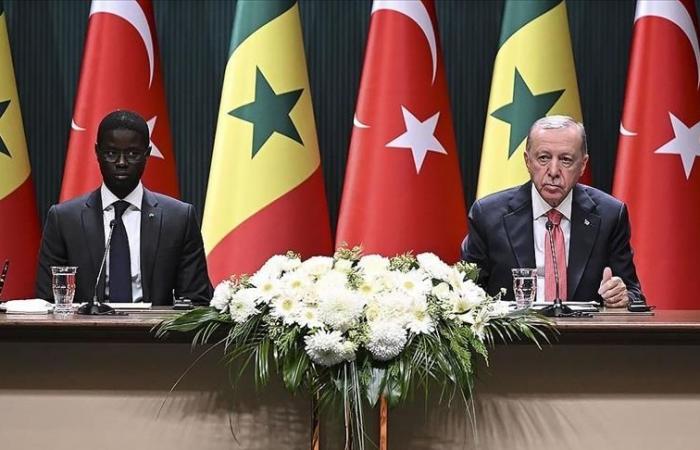 A historic turning point in relations between Türkiye and Senegal (ANALYSIS)