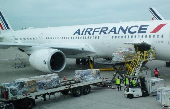 Air France suspends “as a precaution” flights over the Red Sea area