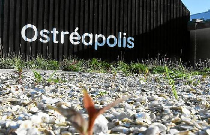 At Tour-du-Parc, what is the outcome for Ostréapolis, the center dedicated to oysters?