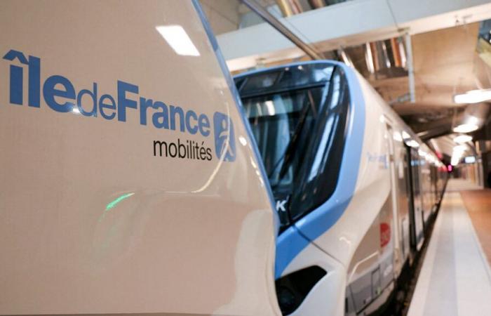 An ax fight breaks out on the Paris RER: four people injured