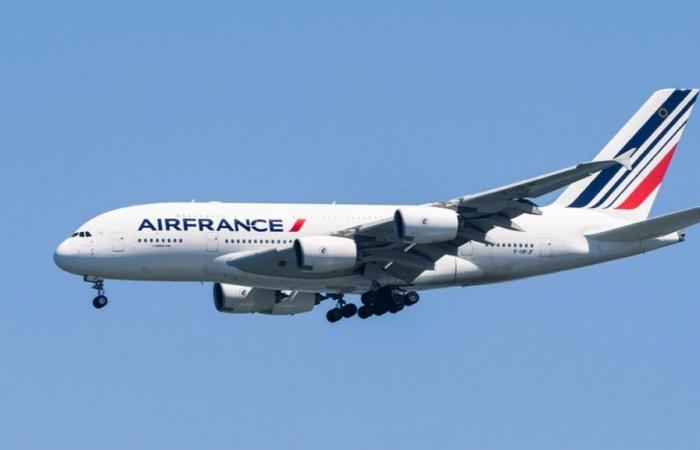 “A luminous object at high altitude”: Air France decides to no longer fly over the Red Sea area