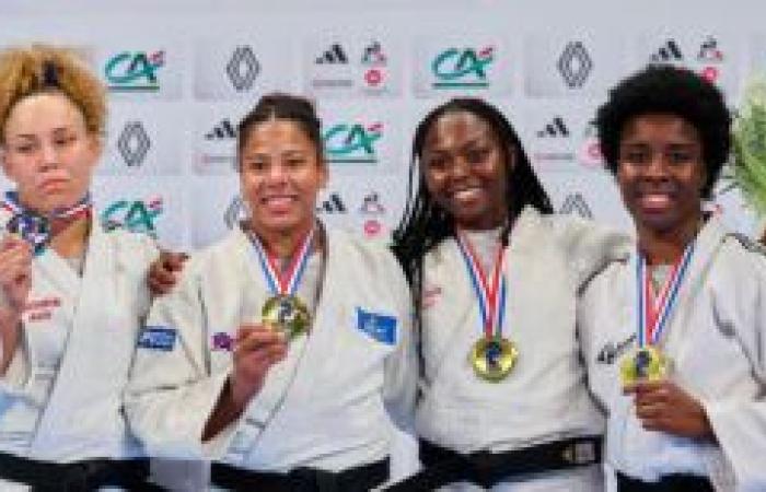 Seine-Saint-Denis at the top of French judo – Seine-Saint-Denis