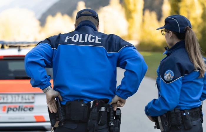 Family drama: an 80-year-old Swiss man loses his life in Sierre (VS)