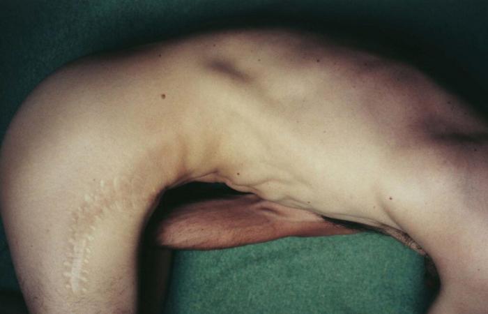 The Book Chronicle: Folio by Viviane Sassen