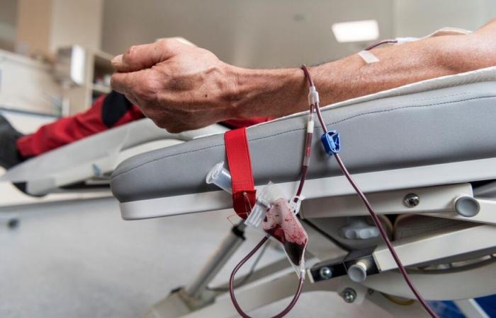 A year that homosexuals donate blood like the others