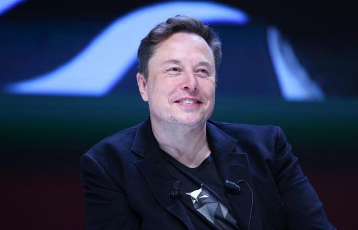 Elon Musk: his “secret complex” at 32 million euros for his 11 children