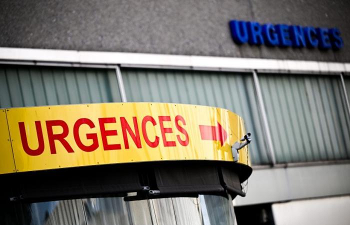 Seven victims in a car accident in the heart of Pays d’Auge