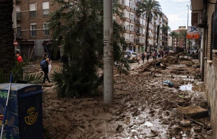 Soccer. Valencia requests postponement of its Copa del Rey match