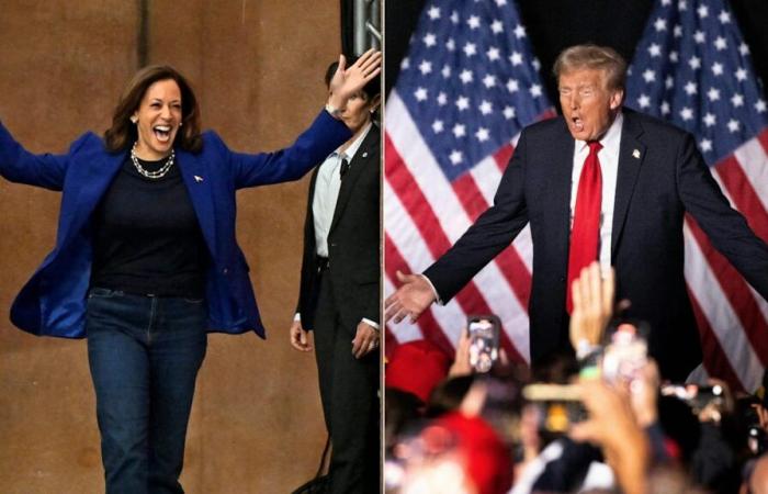 US election tomorrow! Harris or Trump? This is what the latest surveys say | policy