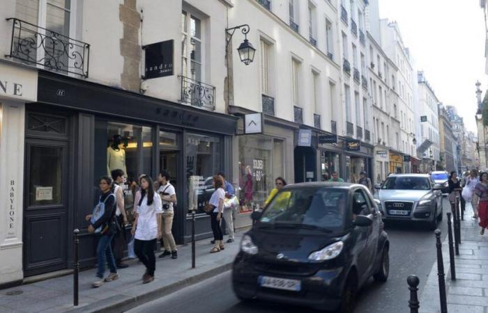 Parisian professionals in distress faced with the establishment of the limited traffic zone