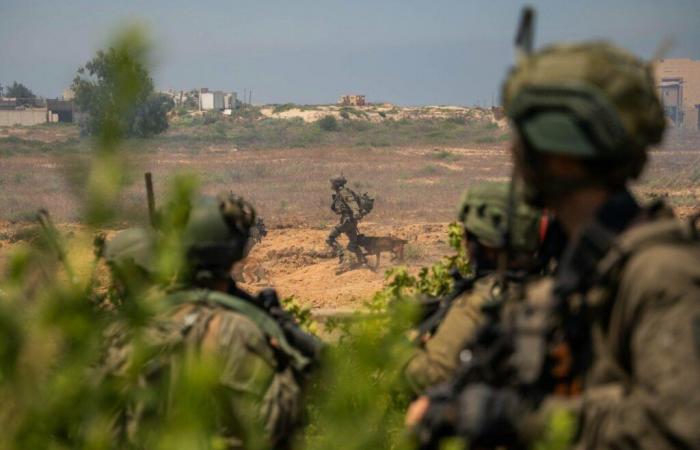 Infiltrations Into Military Bases: Dismantling Of A Criminal Network In Israel