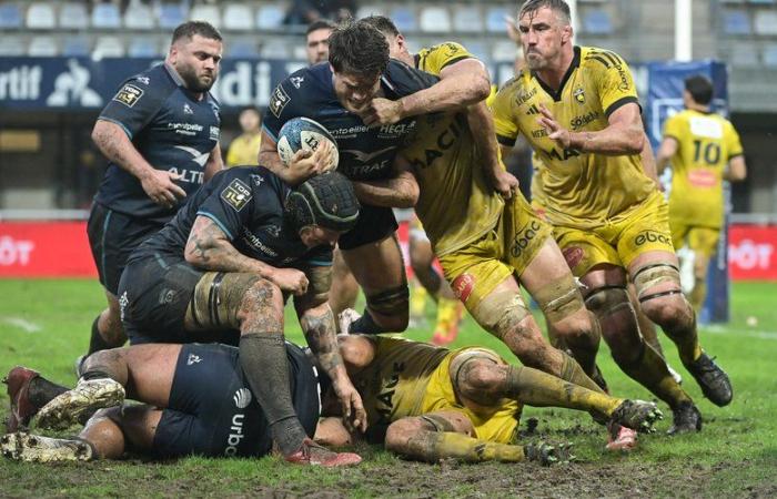 A first quarter, passable mention for Montpellier players in Top 14