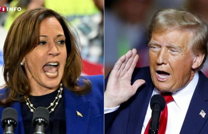 LIVE – US presidential election, D-1: Harris and Trump enter the final stretch