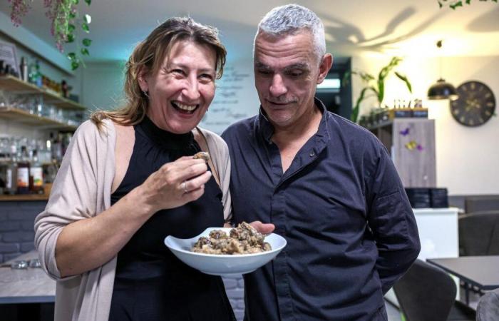 “When they called me, I thought it was a joke”: Two restaurants in Angoulême bring M6 to their table