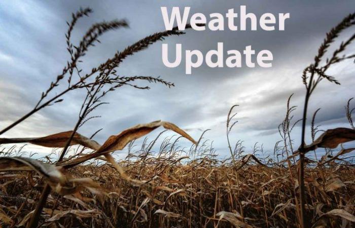 Northwestern Ontario Weather Forecast: November 4 – 5, 2024