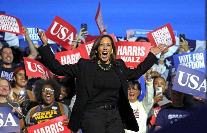 Presidential election: Kamala Harris or Donald Trump, the United States at the time of choice