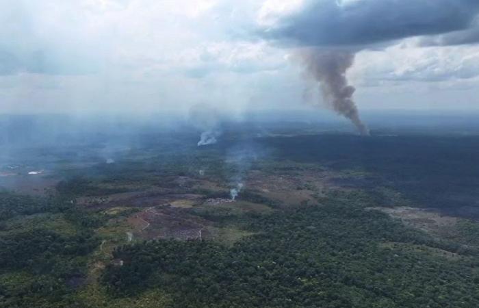 Faced with drought and fires, a state of public health emergency declared in Amapa