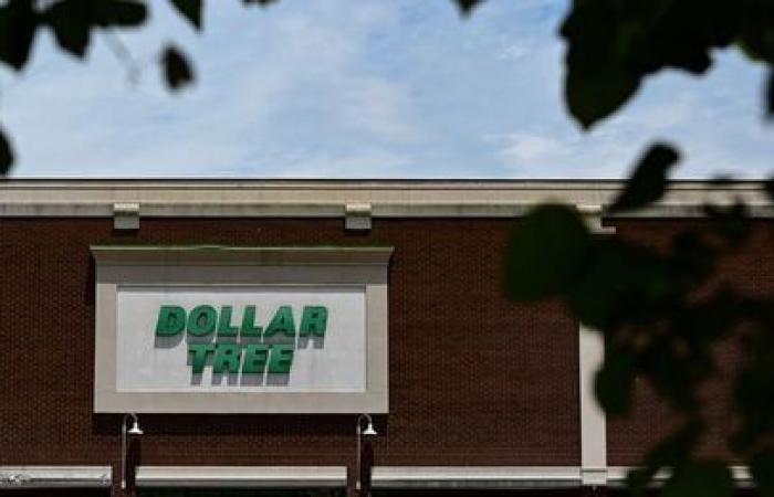 Dollar Tree CEO Rick Dreiling steps down