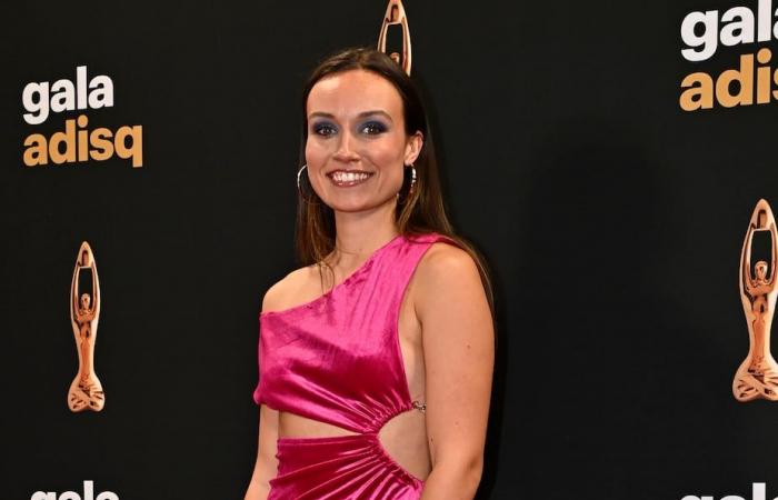 ADISQ Gala 2024: Here are the most beautiful looks of the artists on the red carpet