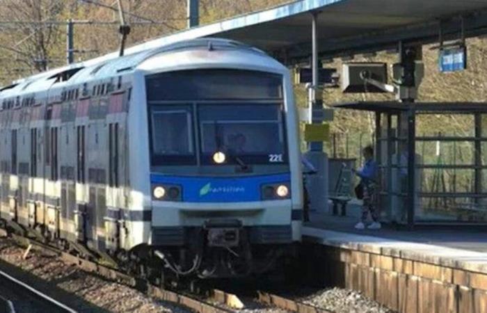 Brawl in a RER: minors injured with axes