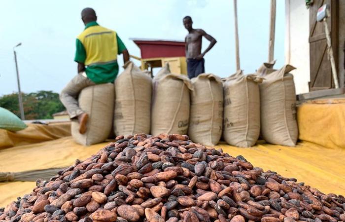 Ghanaian cocoa farmers hoard beans in anticipation of higher prices