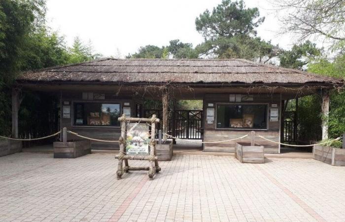 The white tiger “Rewa” at La Flèche zoo has died