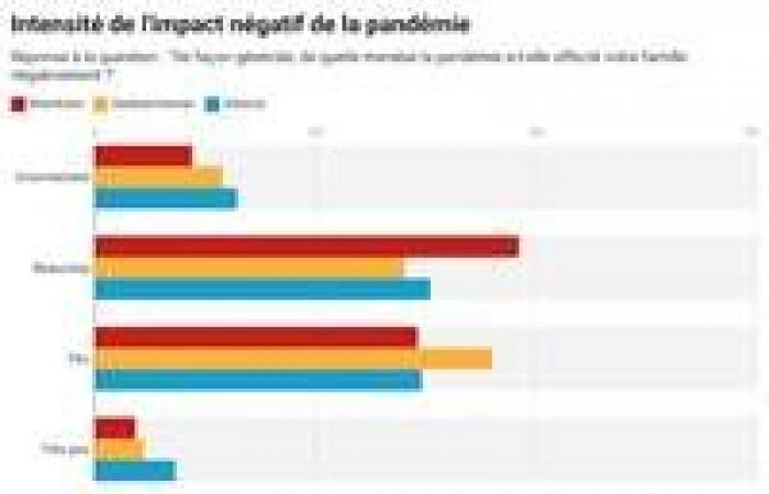 The effects of the pandemic on French-speaking families better identified