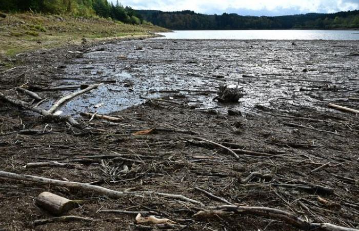 After the major floods in Haute-Loire, tons of wood to be evacuated to the Lavalette dam