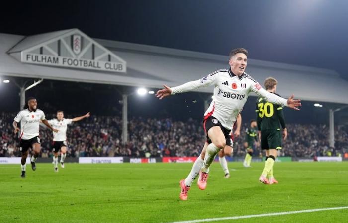 Supersub Harry Wilson stings Bees with added-time double for Fulham – The Irish News