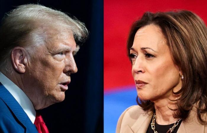 What polls show about the Trump-Harris race ahead of the 2024 election