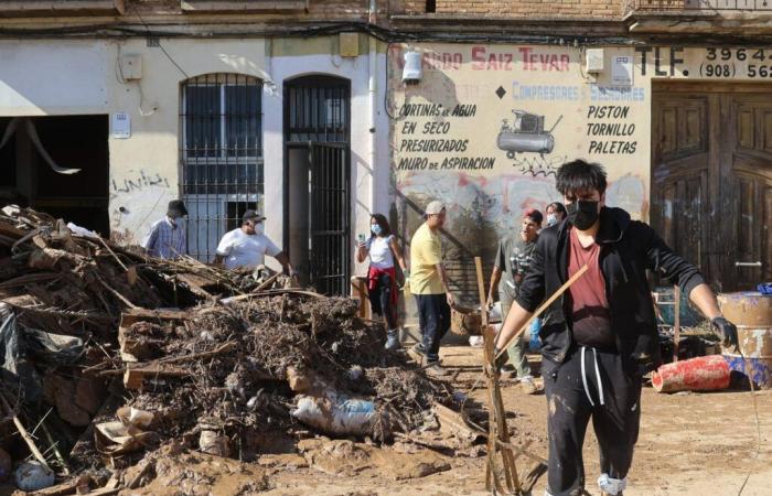 Floods in Spain: “I was born here and I lost everything”, in Sedavi floods leave a town distressed