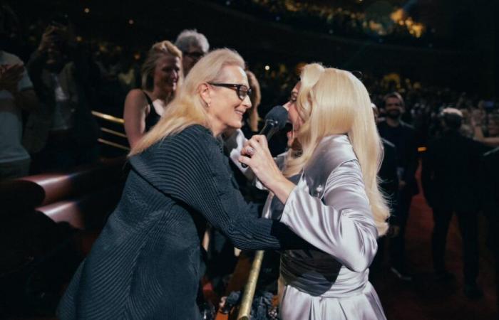 Adele hugs Meryl Streep during a concert, in an outfit paying tribute to the actress