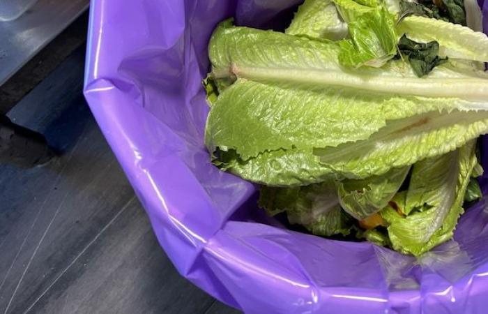 Collection of food waste in businesses: Quebec exceeds its target