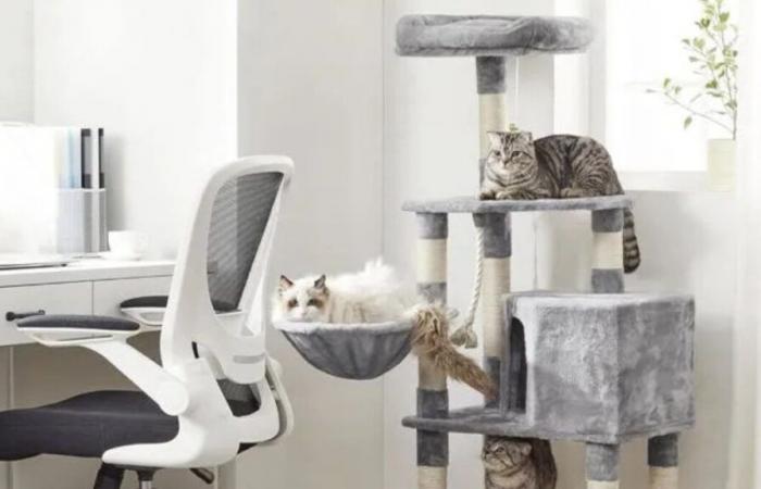 Drop of more than 90 euros on the price of this cat tree on Cdiscount