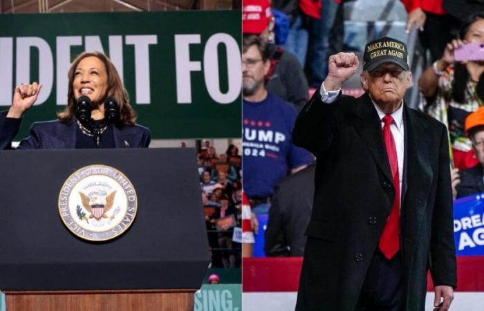 “Trump tired”, “Harris optimistic”, proliferation of post-its… The crazy end of the American presidential campaign