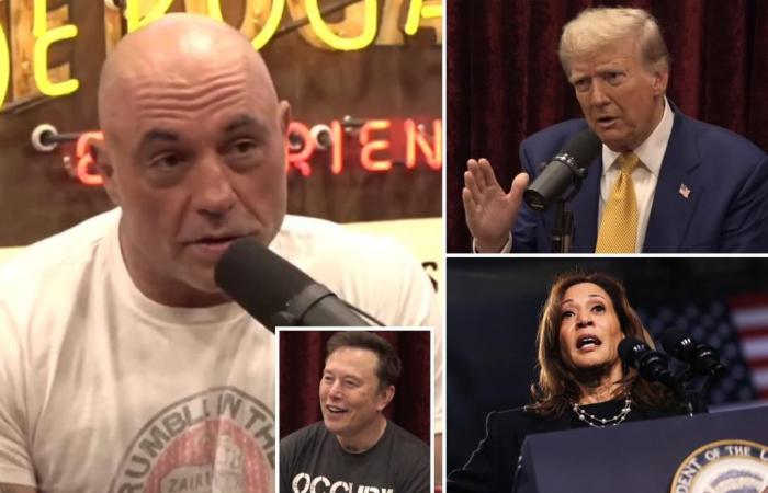 Joe Rogan announces ‘endorsement of Trump’ while promoting Elon Musk interview on X